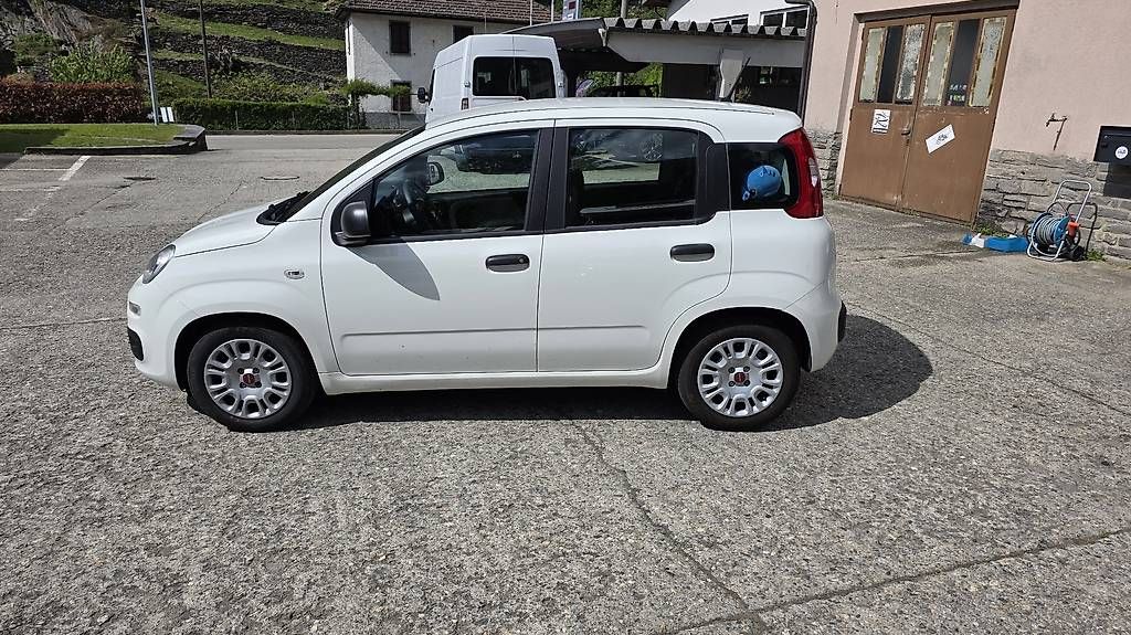 Automobili: Fiat Panda 1.0 Ibrida – Usato da Contone venduto da rom_mjm2 4
