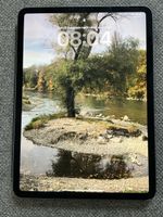 iPad Pro 11“ grau 256 GB,  1. Gen.  mit Schutzhülle