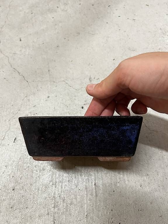 Blumentöpfe: Bonsaischale  – Gebraucht aus Zürich von piruet18 4