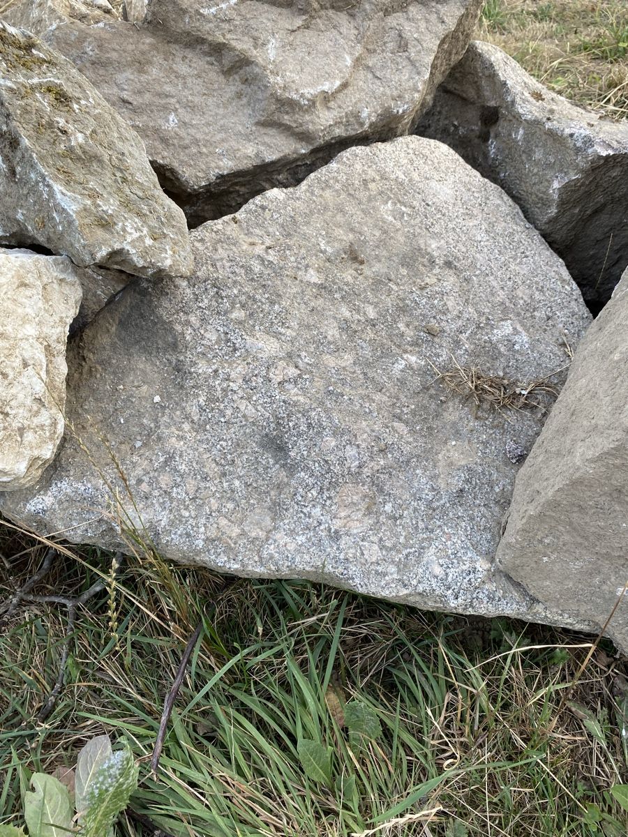 Steine & Dachziegeln: Schwarzwald-Granit 8x – Gebraucht aus Brittnau von bac_265v 2