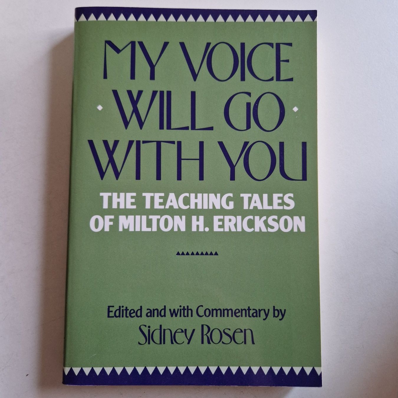 Libri: My Voice Will Go With You – Nuovo (secondo la descrizione) da Rüti ZH venduto da Gigelisuppe