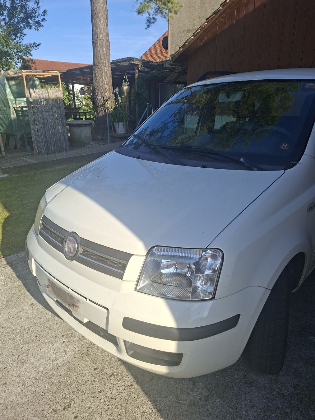 Fiat Autos: Fiat Panda – Gebraucht aus Wigoltingen von Hondams