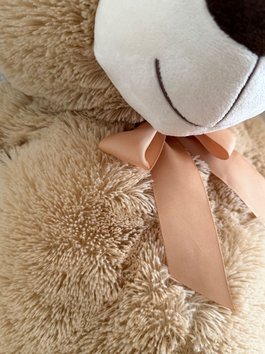 Spielzeuge: Grosser Teddybär (95cm) – Gebraucht aus Ebmatingen von rud_t6wz 2