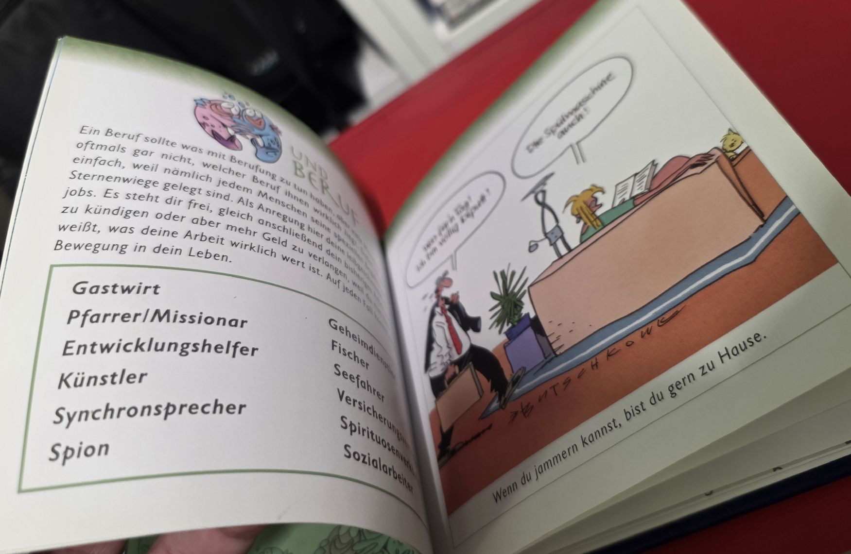 Libri: Sternzeichen Fische - Mini Buch – Usato da Reinach BL venduto da _MasterK_ 3