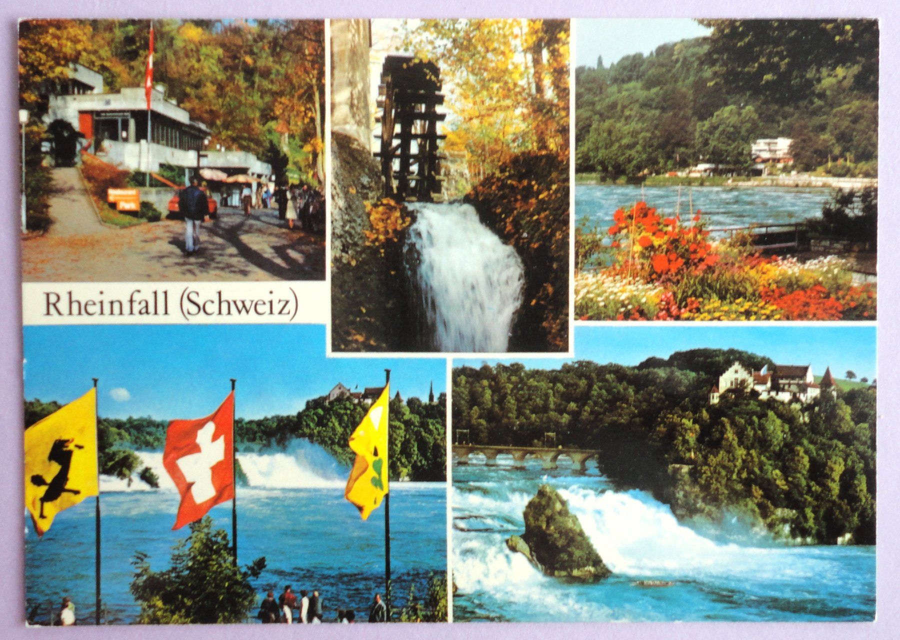 Cartoline postali: Rheinfall – Usato da Fétigny venduto da Billy2miny
