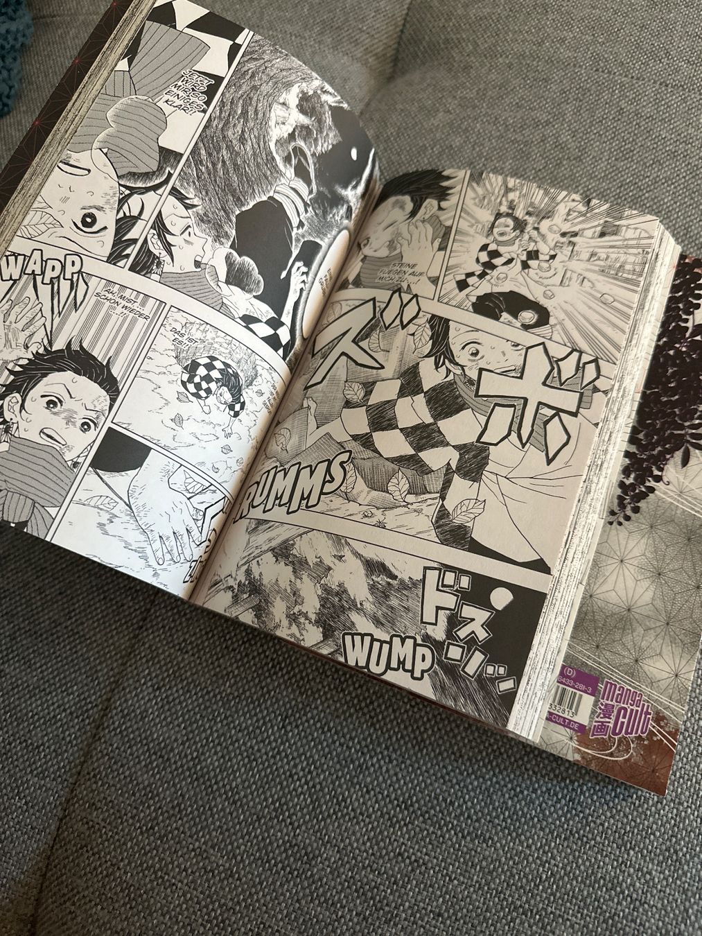 Fumetti: Demon Slayer Band 1 & 2 – Usato da Rümlang venduto da NStucki 2
