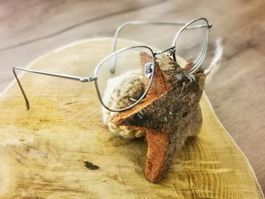 Coblens Echolot Titanium Brille
