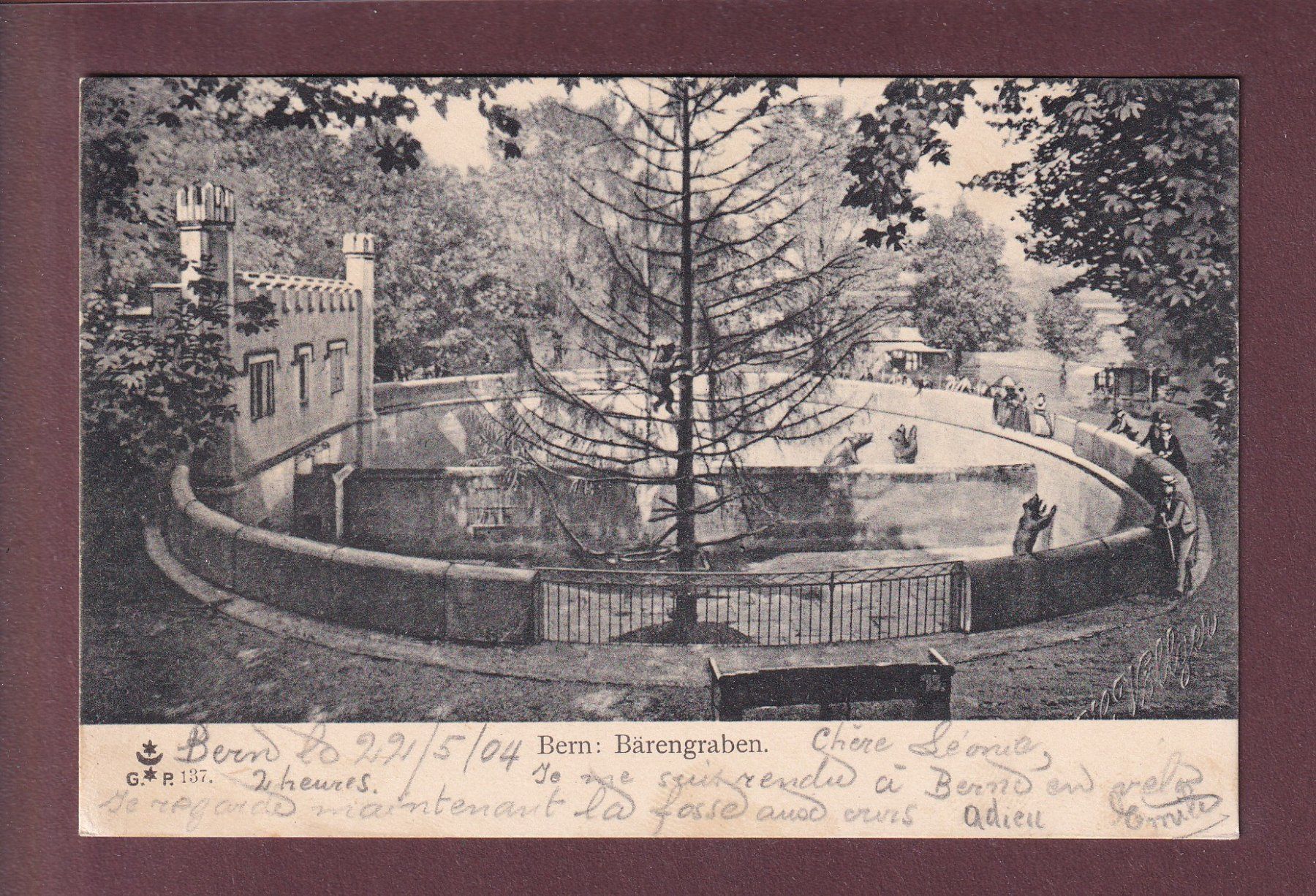 Ansichtskarten: BERN - Bärengraben - 1904 – Gebraucht aus Pully von nicecards