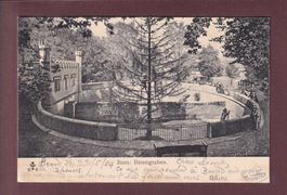 BERN - Bärengraben - 1904