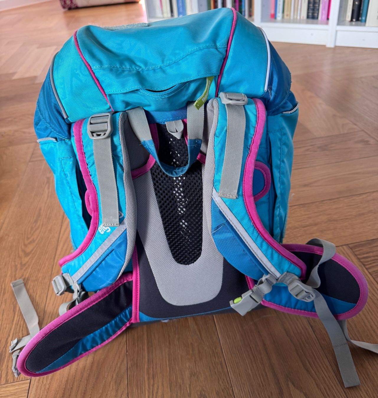 Ergobag Borse & Zaini: ergobag Schulrucksack /Turnsack /Etui inkl. 3 Pack Kletties – Usato da St. Gallen venduto da vasd01 1