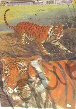 Carta: Découpage Papier Tiere – Nuovo e nell'imballaggio originale da Schlatt TG venduto da mavo85 4