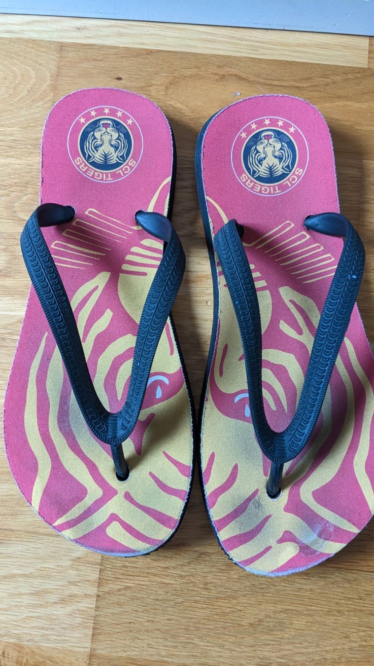 Scarpe da uomo: SCL Tigers Flipflop gr. 38/39 – Usato da Sutz venduto da Rawypp