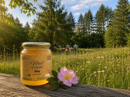 Miel de Printemps 500g à consommer rapidement