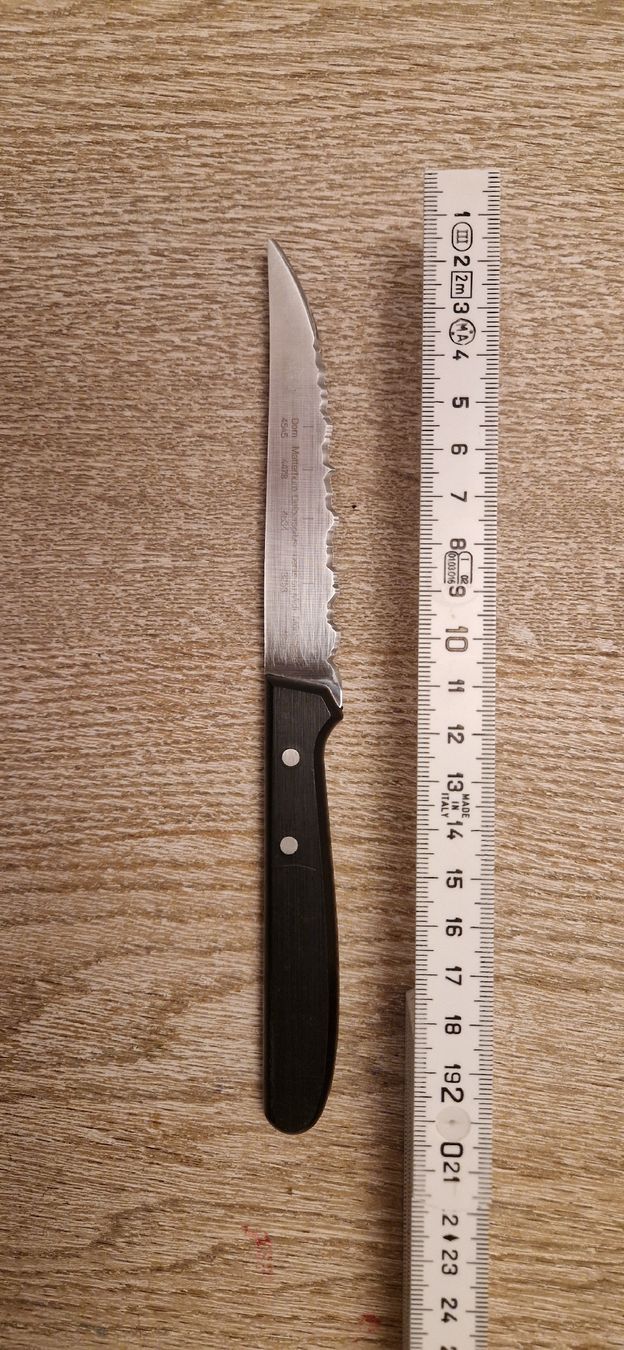 Panorama Knife Coltelli da cucina: Panorama knife – Usato da Burgdorf venduto da maj_swz8