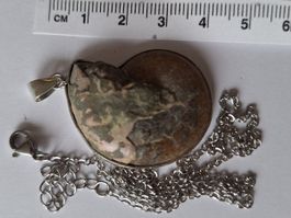 Fossil Anhänger Ammonit Halskette (2)