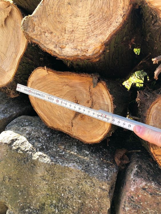 Thujaholz ca. 15-20cm Durchmesser/ ca.40cm lang / Stckpreis (Defekt) in  Ehrendingen fr CHF 17  nur Abholung auf Ricardo kaufen