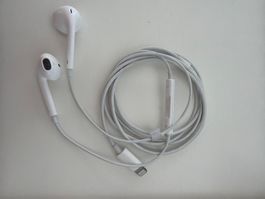 Apple EarPods Lightning weiss gebraucht