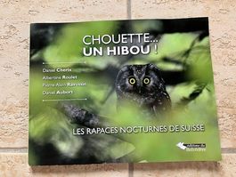 Chouette... un hibou ! Les rapaces nocturnes de Suisse
