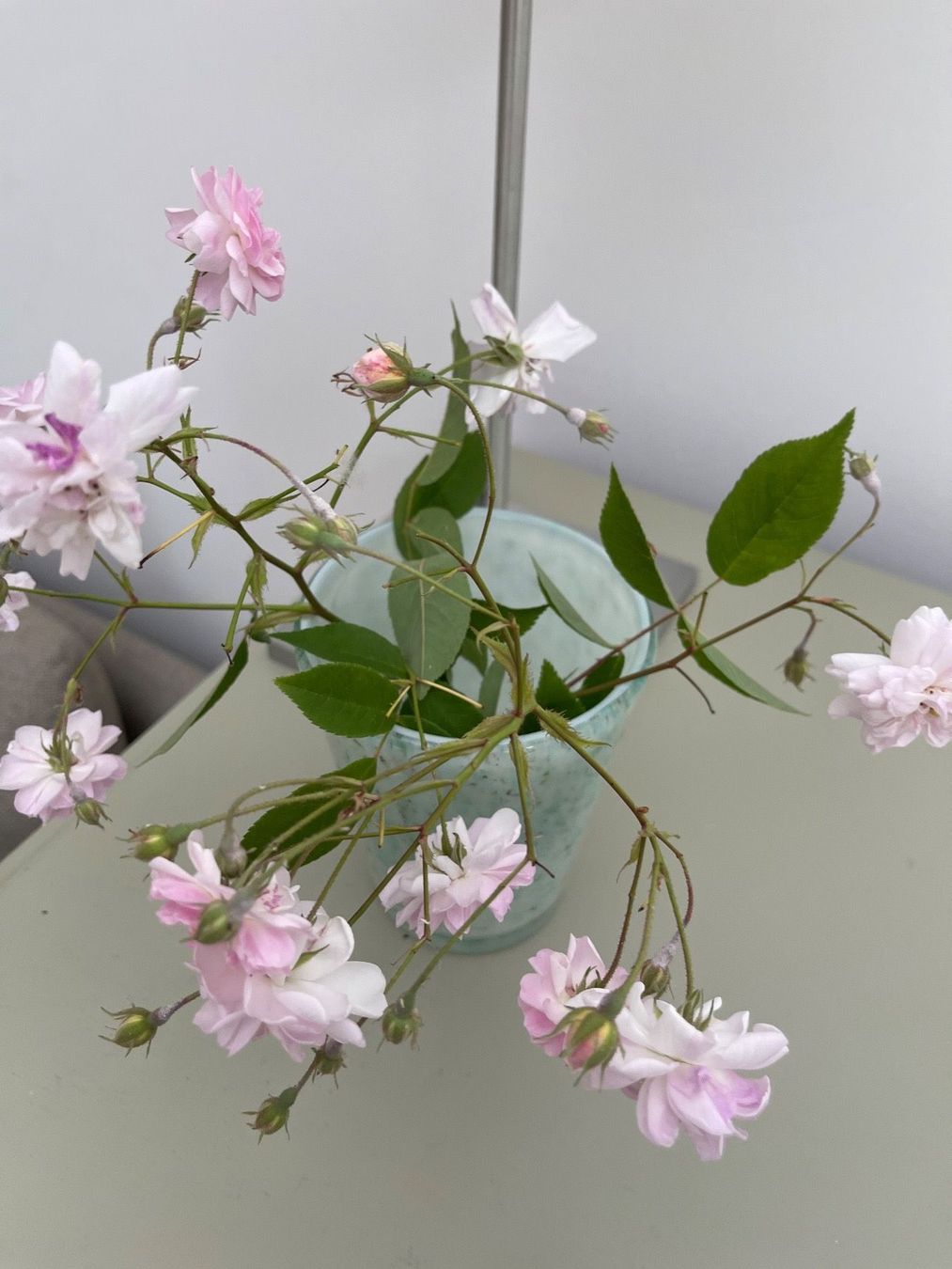 Vasi & Recipienti: Vase dickes Glas Hellgrün Salbei weiss – Usato da Nussbaumen AG venduto da HelenaDavid1910 3