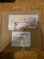 Nanoleaf Shapes Hexagons Starter Kit (15 Panels) – Neuwertig