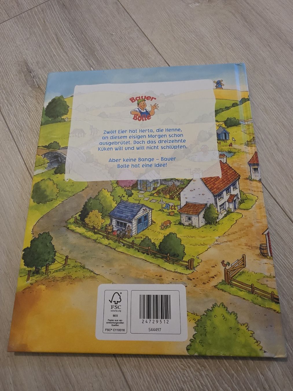 Libri: Kinderbuch "Das dreizehnte Ei"  – Usato da Wigoltingen venduto da Zuckerfee84 1