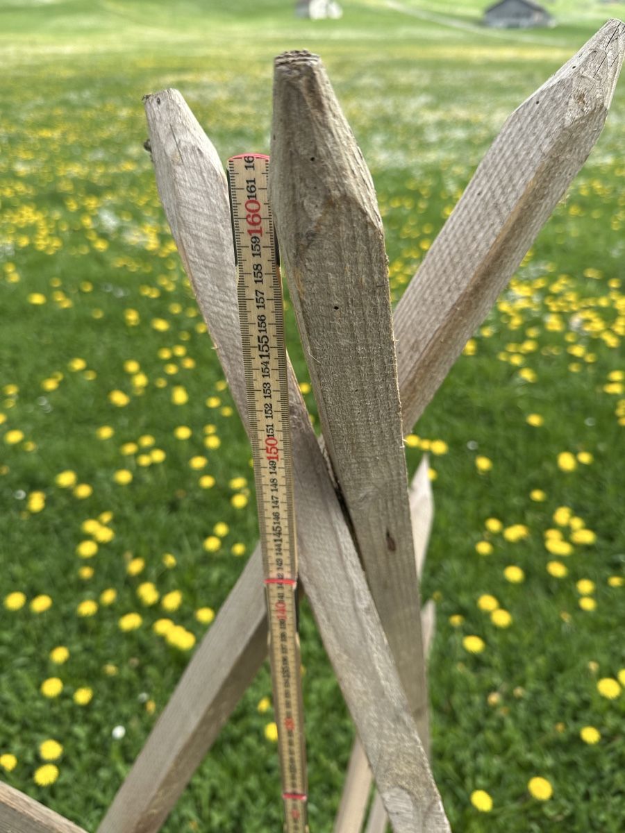 Altro in Utensili da giardino: Heinze – Usato da Schwende venduto da weesli 3