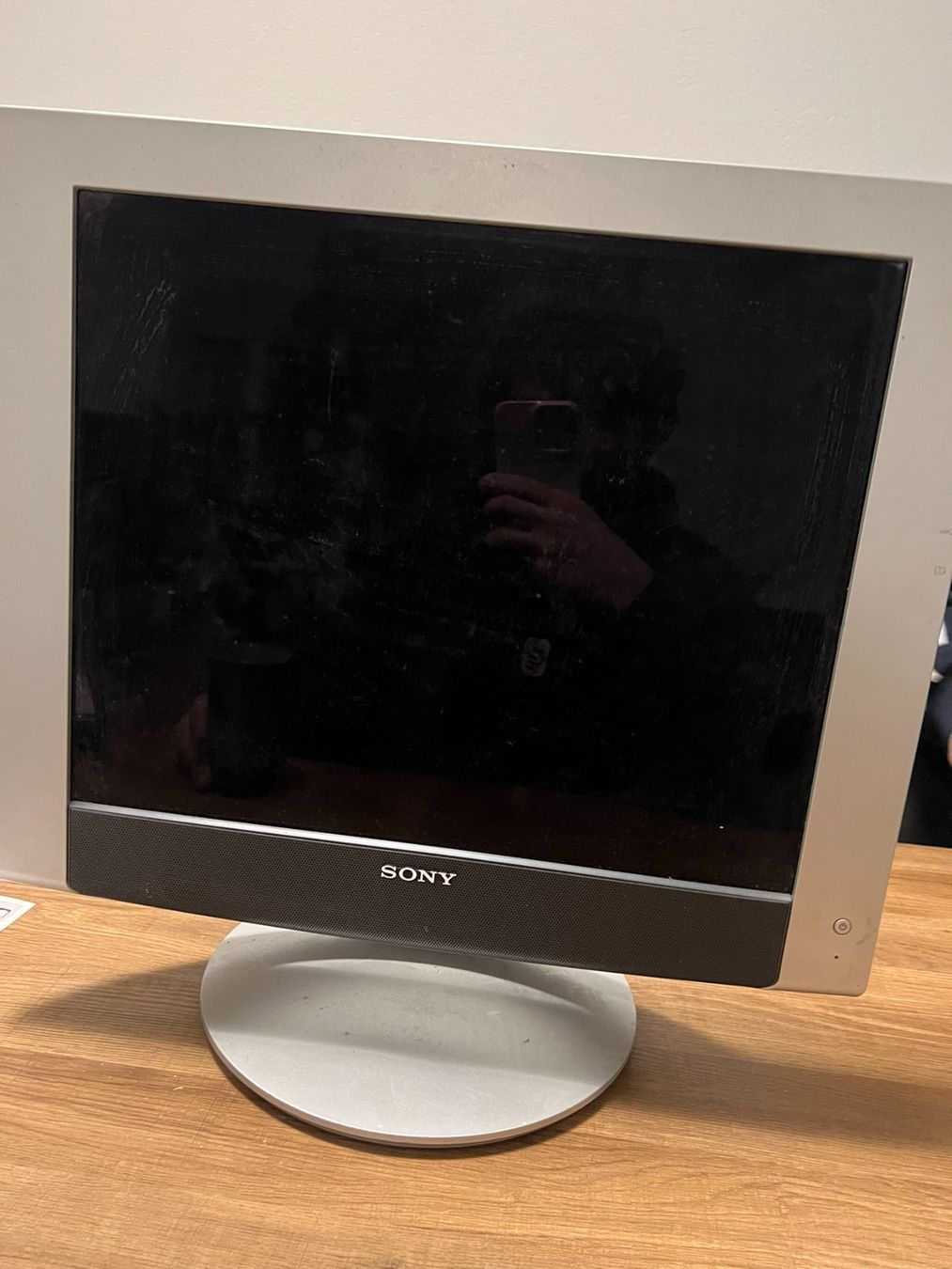 Monitor: Sony SDM-HX95 LCD 19 Zoll Computer Display Vintage – Usato da Volketswil venduto da Lootington_Post