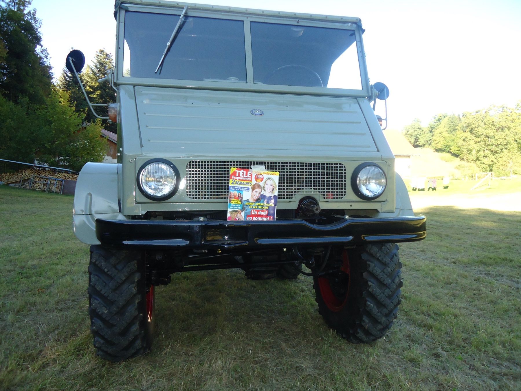 Mercedes-Benz Véhicules utilitaires: Unimog 411 – D'occasion à Combremont-Grand par fernand1965 1