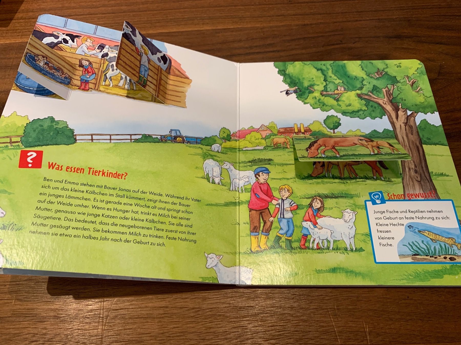 Livres: Was ist was: Tierkinder – D'occasion à Eschenbach SG par claudrup77 1