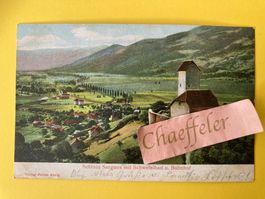 1908 Schloss Sargans mit Schwefelbad und Bahnhof