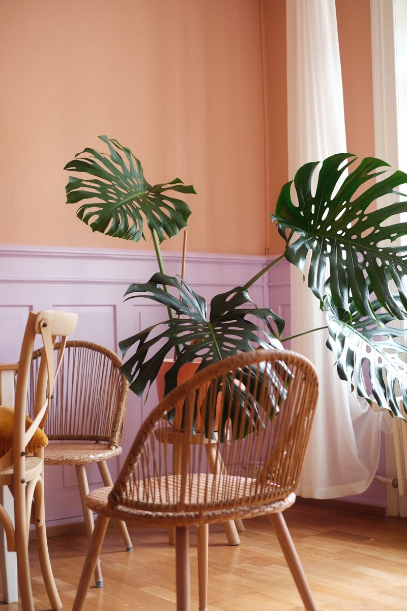Maisons du monde Sedie: Gartenstühle – Usato da Zürich venduto da Colorazul 1