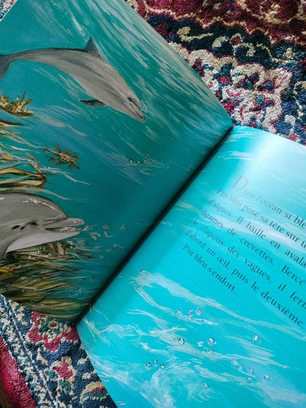 Libri: Le Dauphin Mymi Doinet Nathan – Usato da Cortaillod venduto da rozinna 2