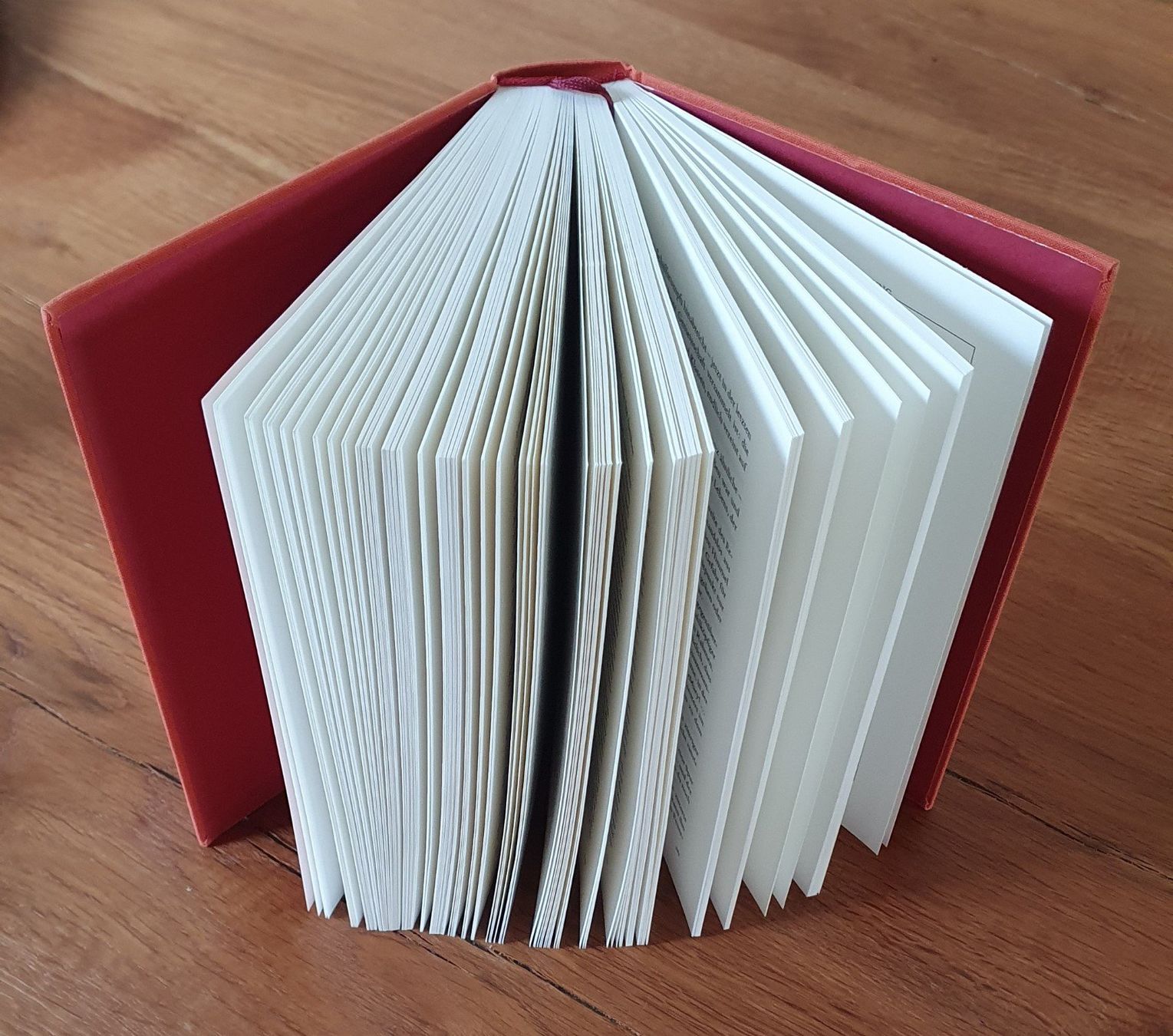Libri: Die Party bei den Jacks / T. Wolfe – Usato da Emmenbrücke venduto da Re6020 3