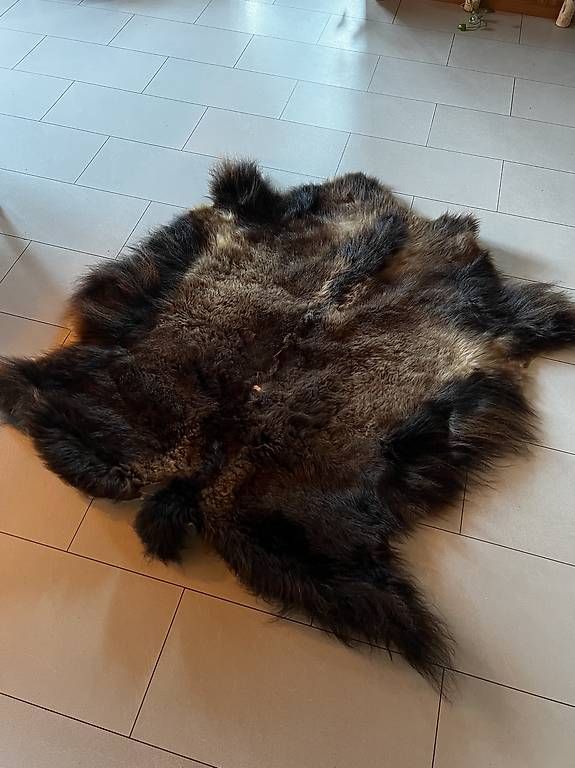 Tutte le decorazioni: Bisonfell – Usato da Rüschegg Heubach venduto da ninavui