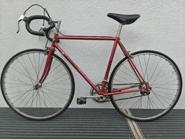 Luongo Renner Rennvelo vintage