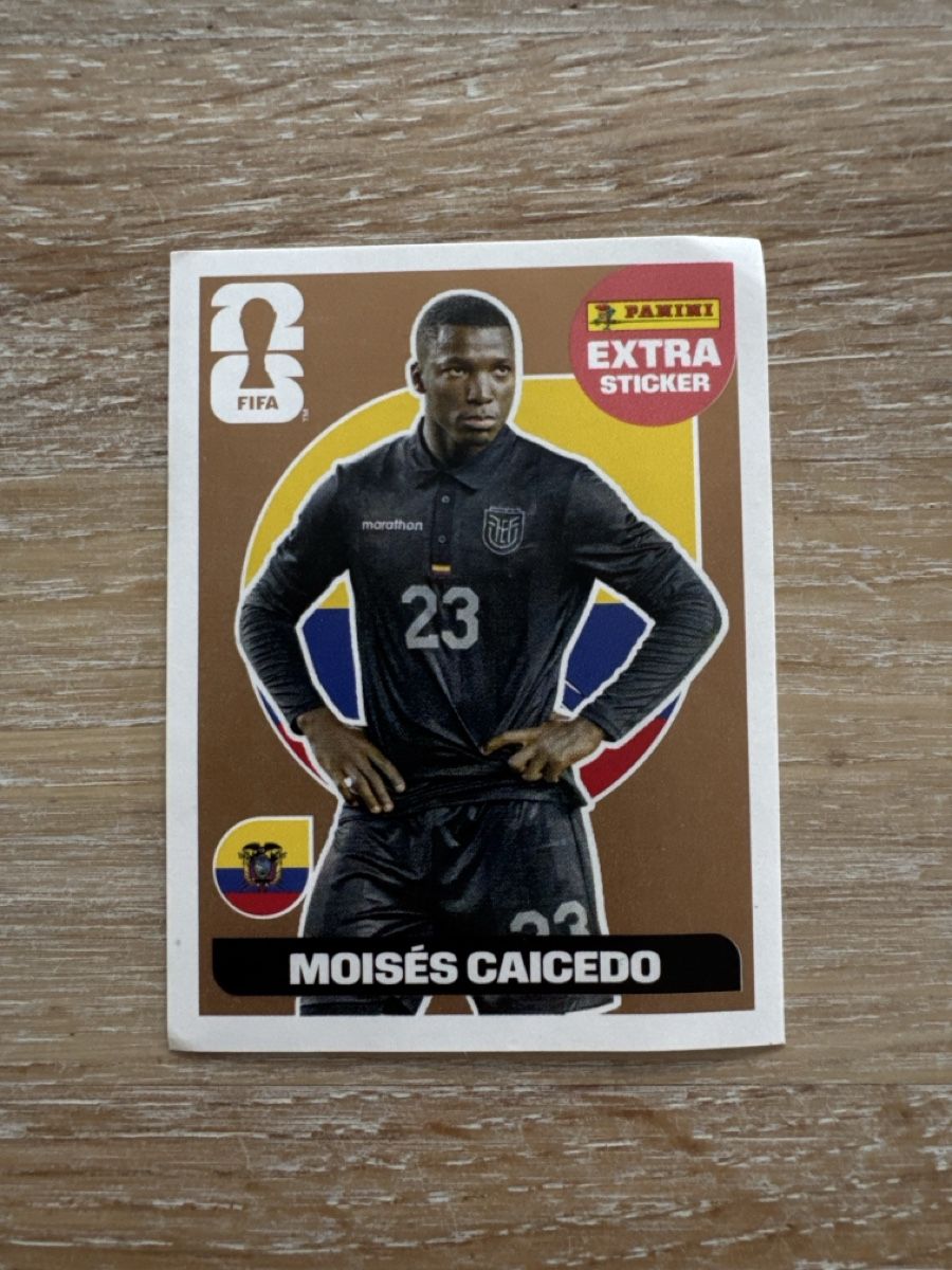 Panini Carte collezionabili: Extra Sticker Panini Moisés Caicedo – Usato da Oberrüti venduto da Zuela