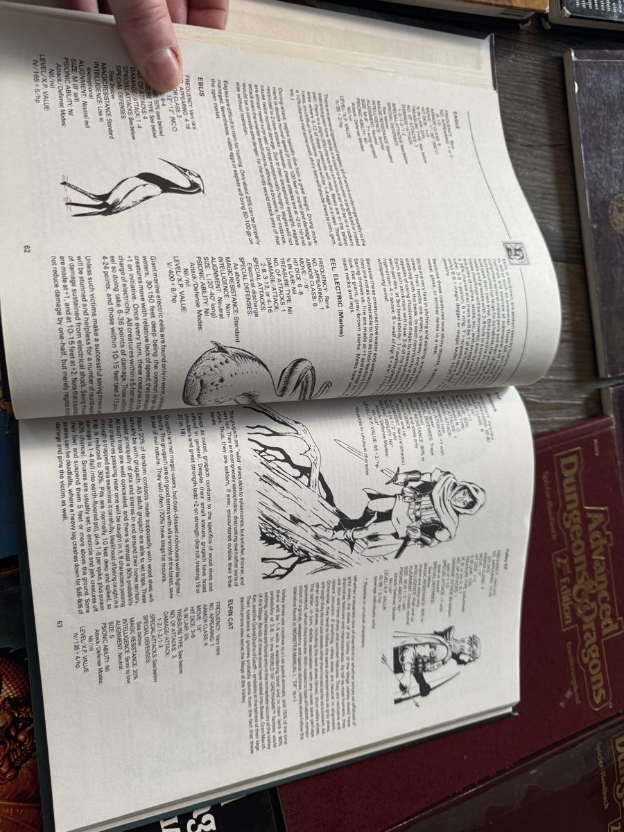 Libri: Dungeons and dragons – Usato da Frauenfeld venduto da law_7gc9 8
