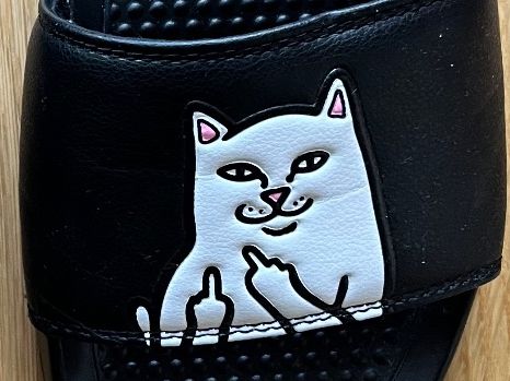 Ripndip Herrenschuhe: RIPNDIP Sandalen Lord Nermal / Gr. 39 – Neu (gemäss Beschreibung) aus Basel von _MMJ 1