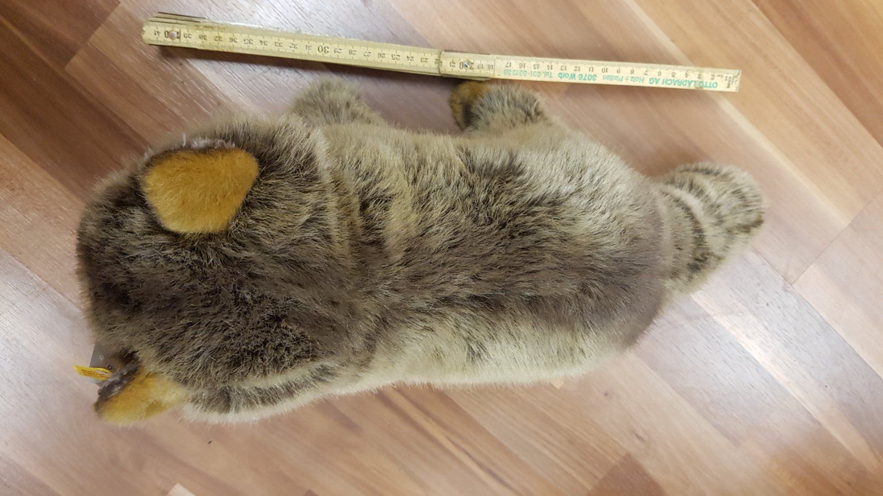 Steiff Giocattoli: Waschbär Plüsch Steiff B10 – Usato da Schwarzenburg venduto da Flamingo07 1