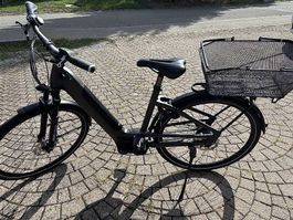 E-Bike Bosch  500 Wh  Riemenantrieb 