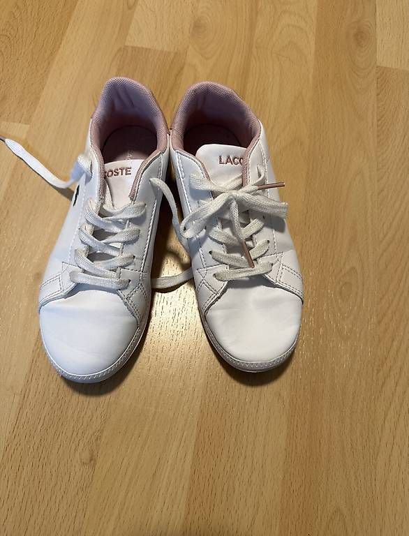 Scarpe per ragazzi: Lacoste Kinder Sneakers – Usato da Alchenflüh venduto da selina077 1