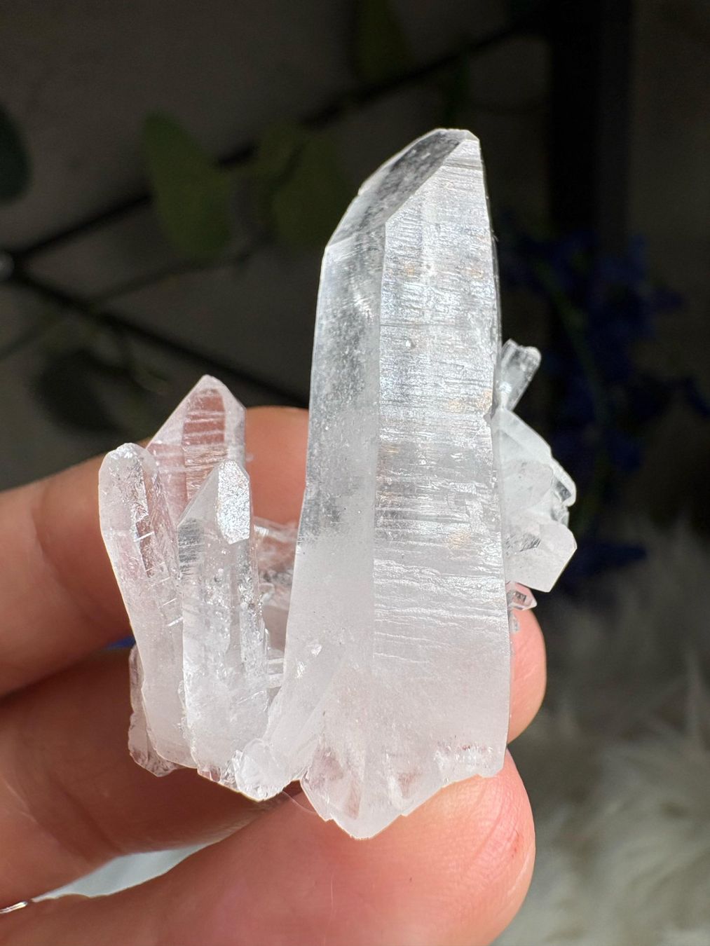 Minerali & Pietre curative: Kolumbianischer Lemurian-Quarz-Cluster – Nuovo (secondo la descrizione) da Neuheim venduto da m.hald 1
