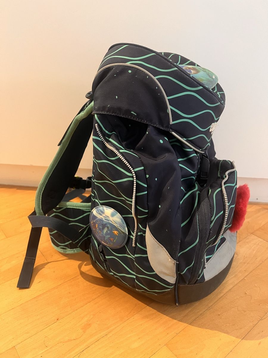 Ergobag Kindertaschen: Ergobag Schulthek – Gebraucht aus Zürich von evebleu 3
