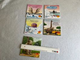 Maxi Pixi Bücher, 5 Stück, tolle Geschichten, neuwertig
