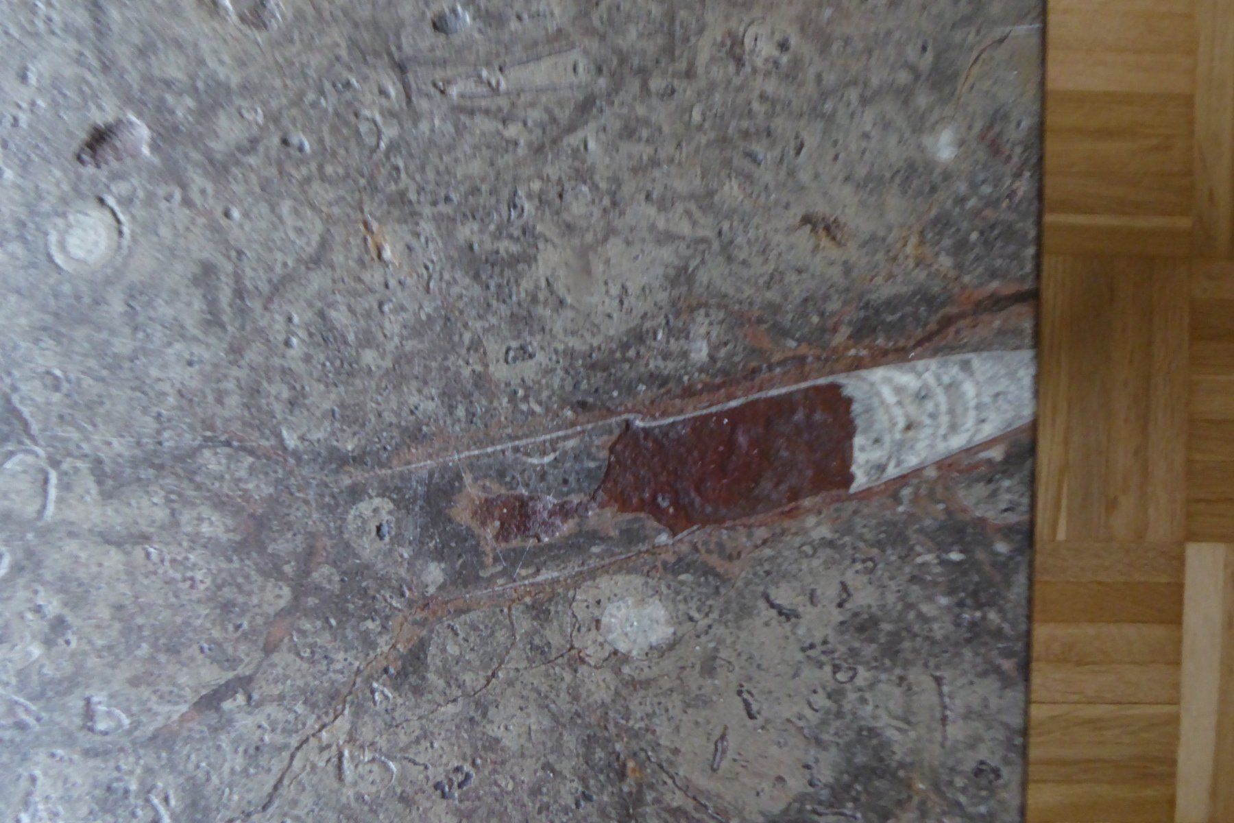 Tavoli: Salontisch Natursteinplatte "Fossilien" – Usato da Bischofszell venduto da MZumbach 3