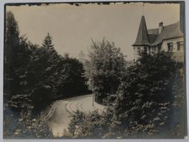 Originalfotografie Quartier am Zürichberg um ca. 1925 /30