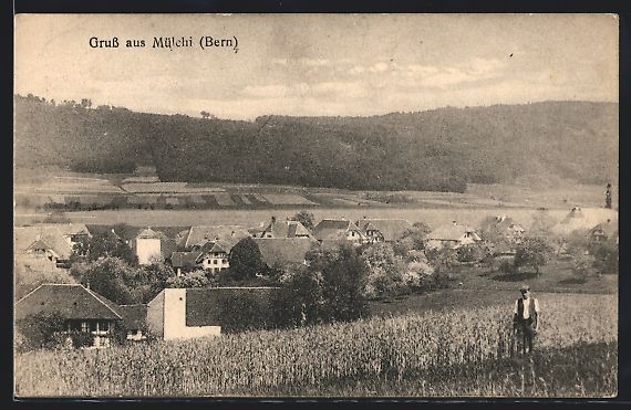 Cartes postales: Mülchi /Bern, Gesamtansicht mit Maisfel – D'occasion à Berlin par bartko-reher