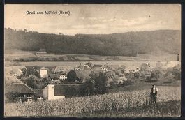 Mülchi /Bern, Gesamtansicht mit Maisfel