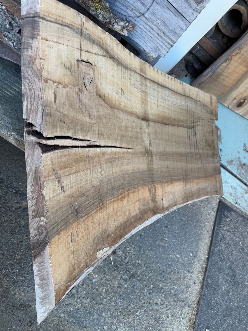 Articles en bois: Nussbaum Brett trocken – Neuf (Voir description) à Holziken par Timbergrizzly 2