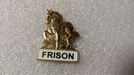 Ansteckpin 206: Frison
